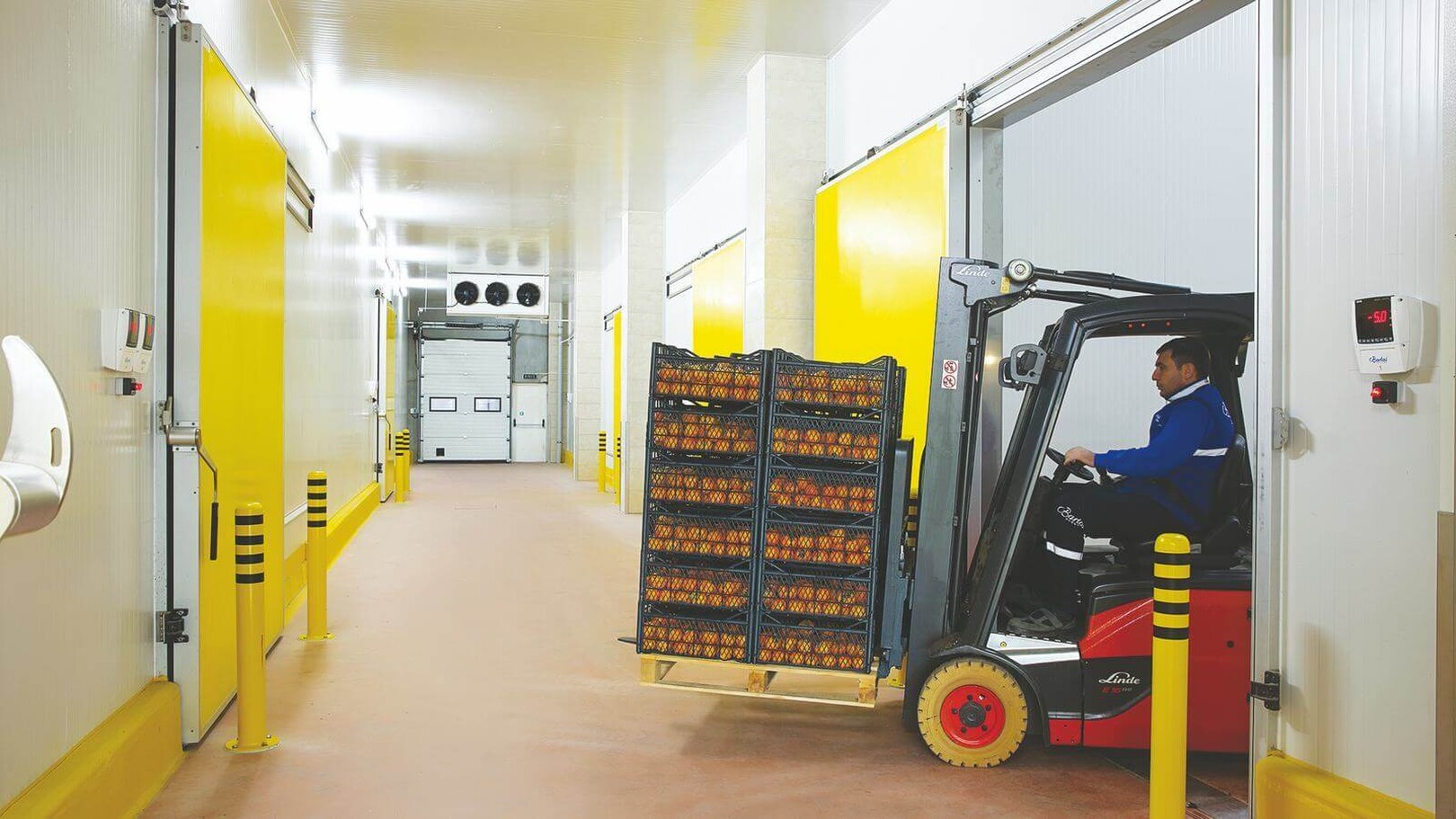 Soğuk Hava Depoları